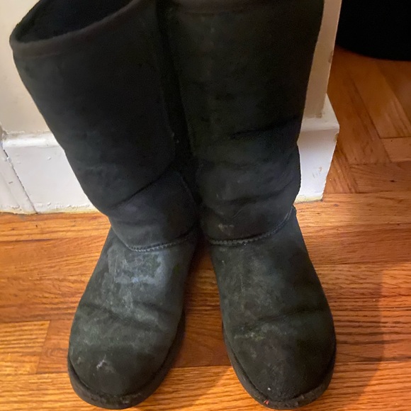 UGG Shoes - Tall uggs